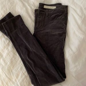 Anthropologie Pilcro corduroy pant